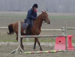 moi sur royaume 